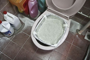 Cat litter over toilet bowl