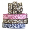 Pet Accessories