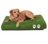 Pet Accessories