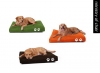 Pet Accessories