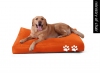 Pet Accessories