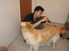 Pet Groomer