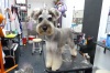 Pet Groomer