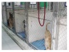 Pet Hotel