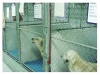 Pet Hotel