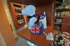 Pet Shop