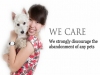 Pet Sitting