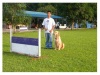 Pet Training