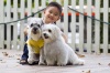 Pet Training