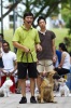 Pet Training