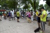 Pet Training