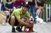 Pet Training