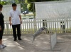 Pet Training