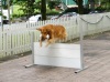 Pet Training
