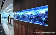 Aquarium | Green Chapter Pte Ltd (Singapore)
