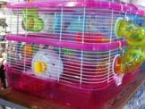 Pet Accessories | Petmart Pte Ltd