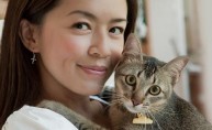Pet Adoption | Cat Welfare Society