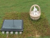 Pet Cemetery & Cremation | The Animal Resort