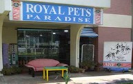 Pet Shop | Royal Pets Paradise
