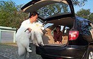 Pet Transport | Pet Movers (S) Pte Ltd