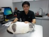 Vet | Animal Medical Centre (VET@RV) Pte Ltd