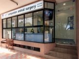 Vet | Companion Animal Surgery Pte Ltd