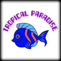 Colourful Tropical Aquarium