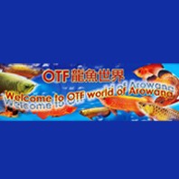 OTF Aquarium Farm