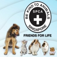 Singapore Society for the Prevention of Cruelty to Animal (SPCA)