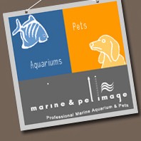 Marine & Pet Image Pte Ltd