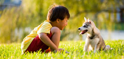 Boy and puppy