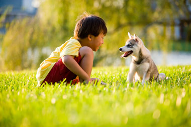 Boy and puppy