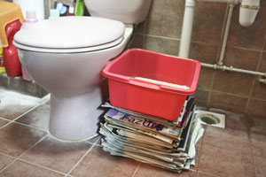 Cat litter stacked on newspapers