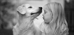 Dog And Girl